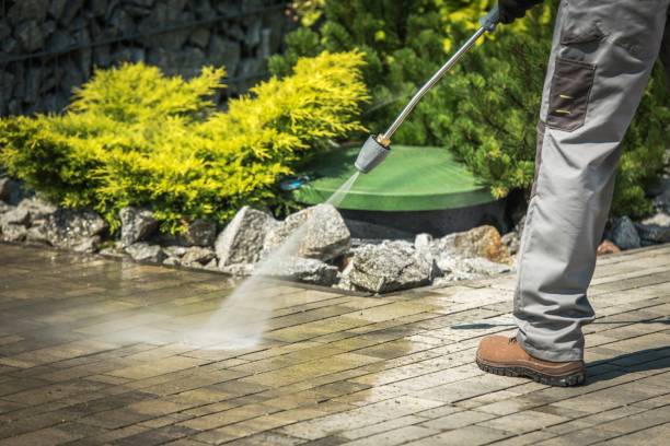Best Spring Cleaning  in Forestville, OH