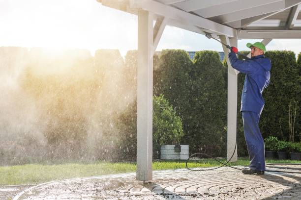 Best Warehouse Cleaning  in Forestville, OH