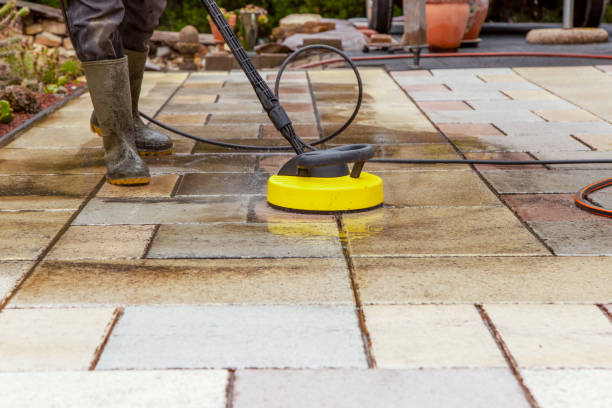 Best Restaurant Pressure Washing  in Forestville, OH