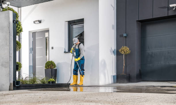 Best Building Exterior Washing  in Forestville, OH